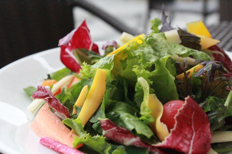 朝採れ鎌倉野菜の旬菜フレッシュサラダ980円。