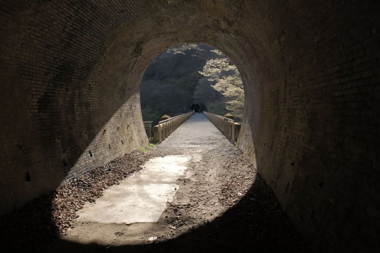 出口は眩い光に包まれている。目を凝らすと大きな橋が見えた。