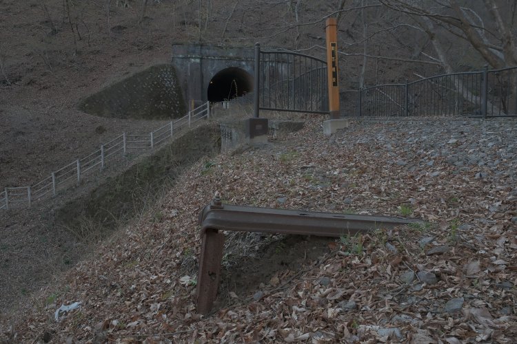 見落としそうなほど地味な遺構。アプト式時代の鉄枕木だ。奥は第7トンネル。