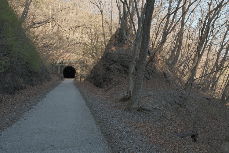 振り返って第６トンネルと切り通しを見る。鉄枕木はさりげなくある。