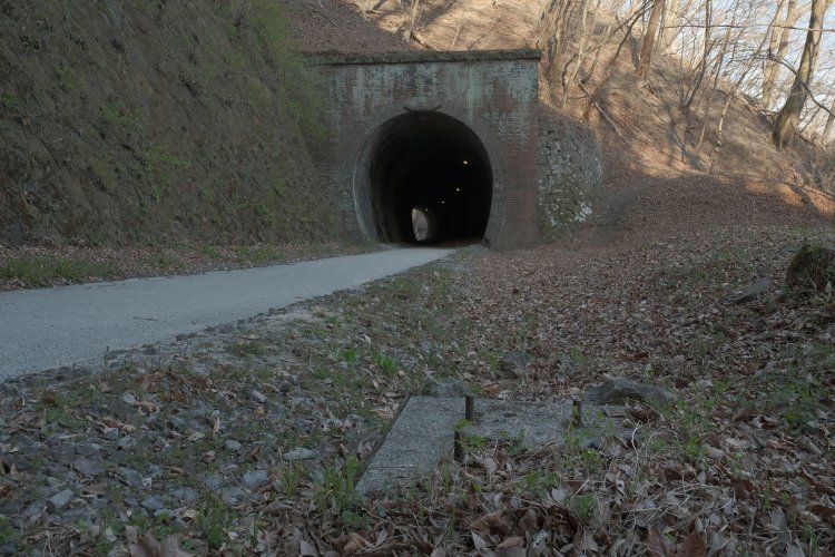 両トンネル間にあった支柱の基礎。鉄製の電信柱だと思われる。