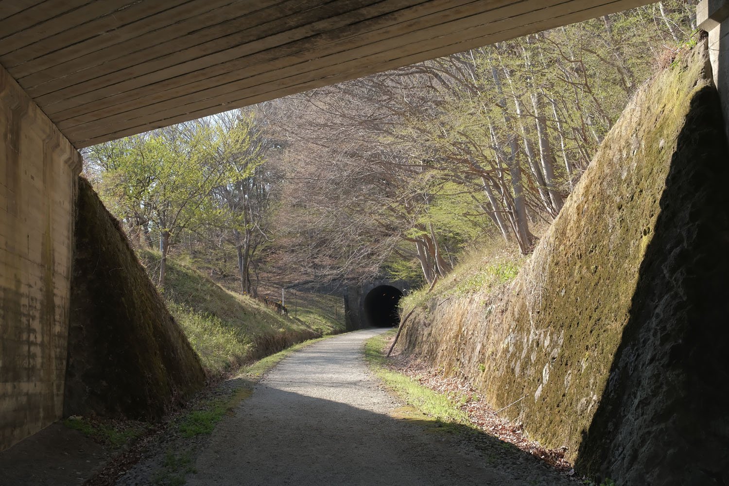 高さ31mの4連レンガアーチ めがね橋 を渡ると トンネルと橋梁が連続する 碓氷峠その3 廃なるものを求めて さんたつ By 散歩の達人