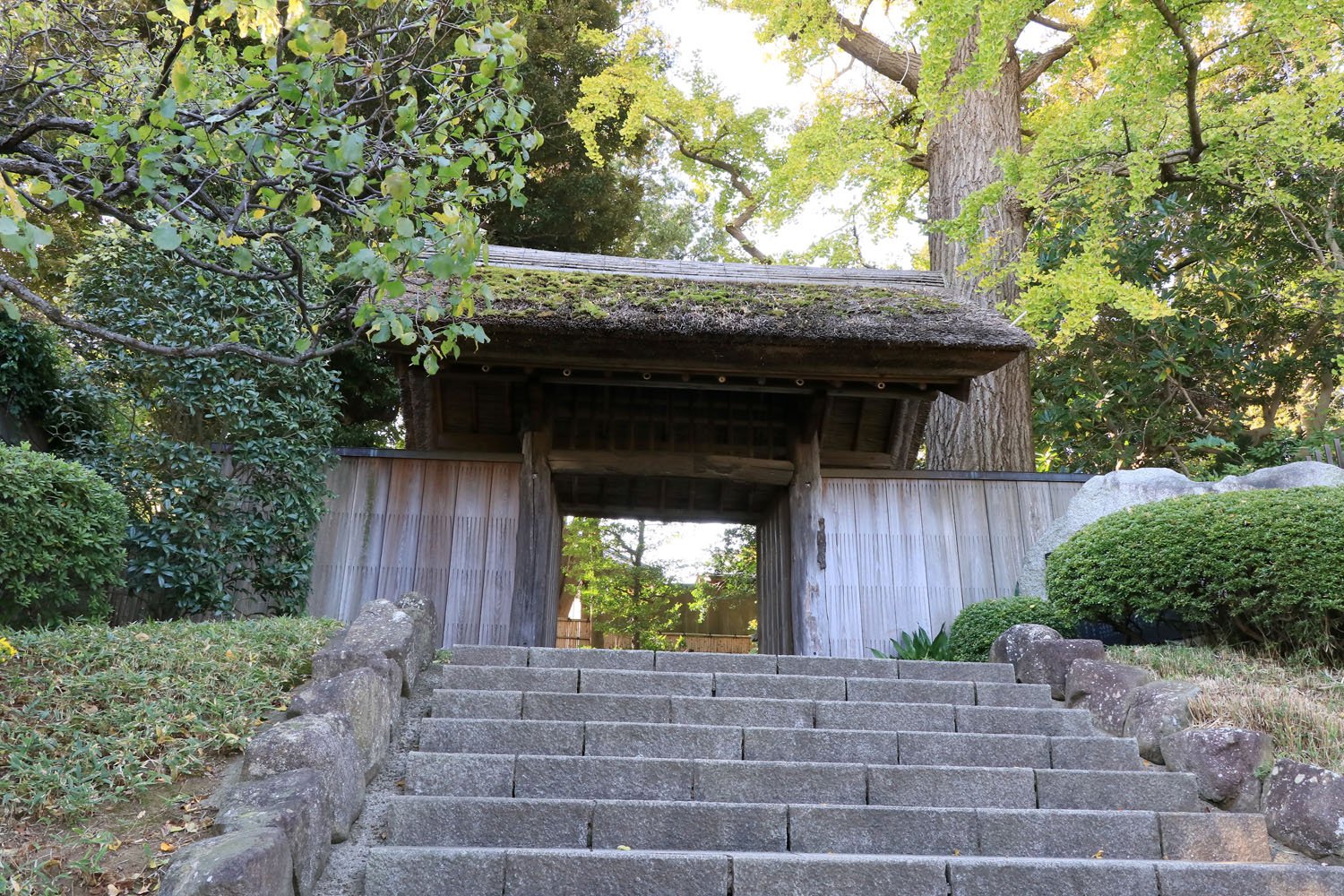 akitake_01_IMG_6331