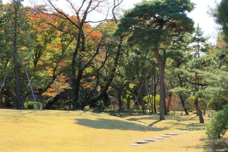 秋色に染まる戸定邸の庭園。
