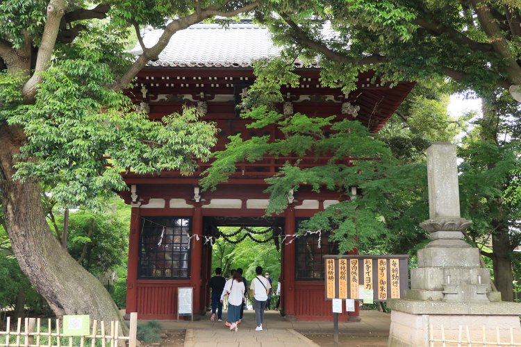 こちらは2021年6月撮影。