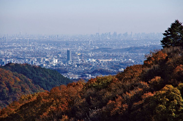 小仏峠からの都心部の眺望。