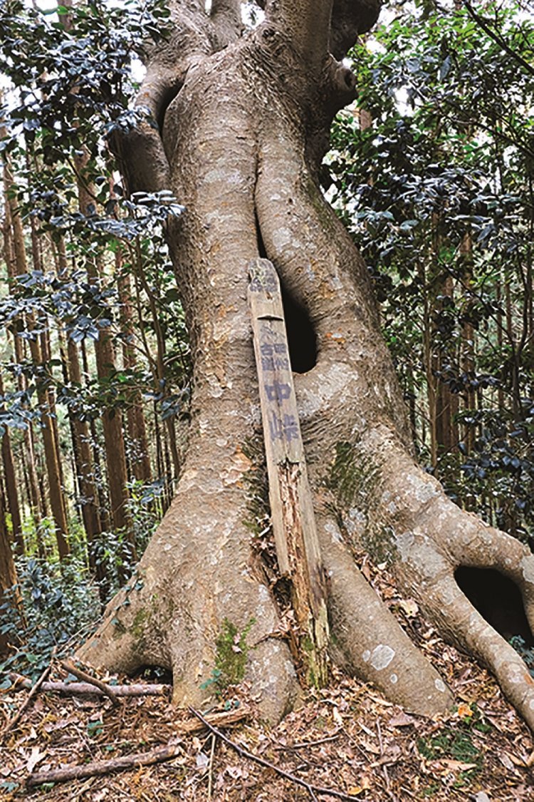 小仏峠から下りてくると鉄塔があるが、その付近に中峠の標識あり。かつては近くに茶屋もあった。
