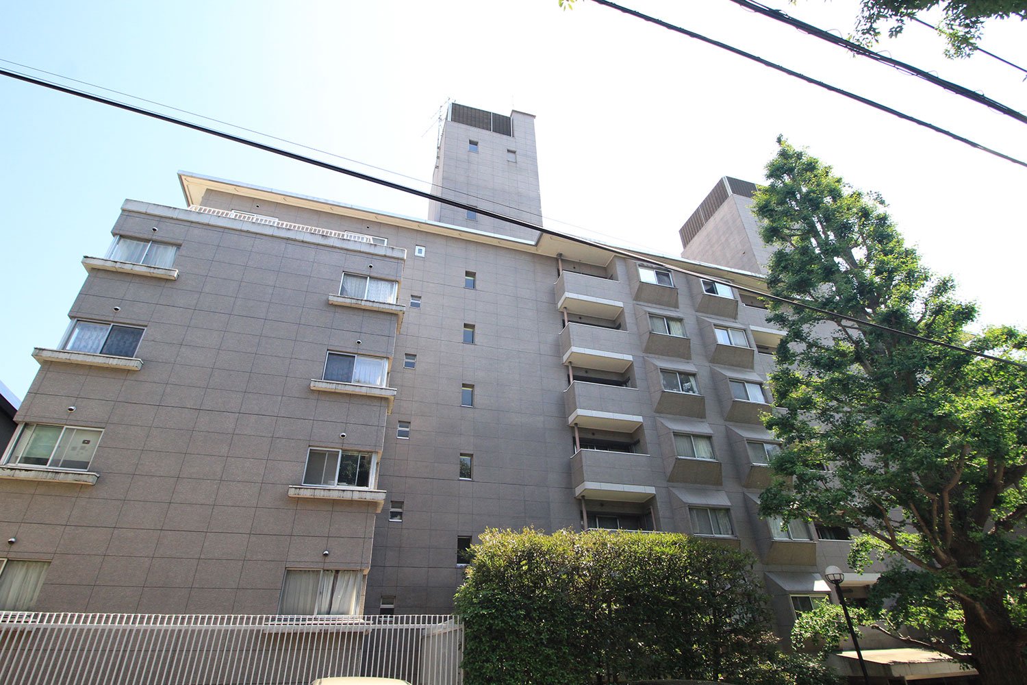 大イチョウが目印となる「赤坂アーバンライフ」。100平方メートル強の広いリビングルームと個室を備えた、ゆったりとした住戸が多い。