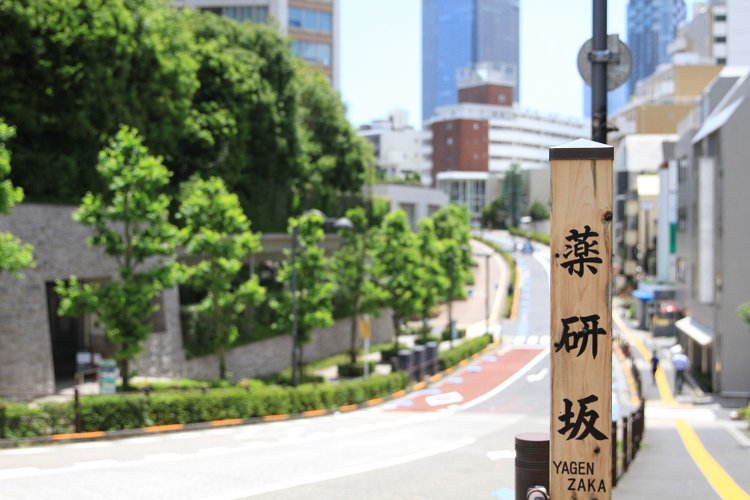 赤坂という地名通り、薬研坂をはじめ坂が多いのも街の特徴。