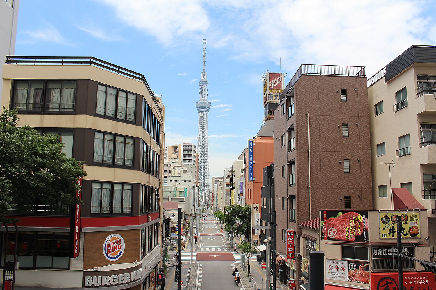 タワービュー通りから見る東京スカイツリー。
