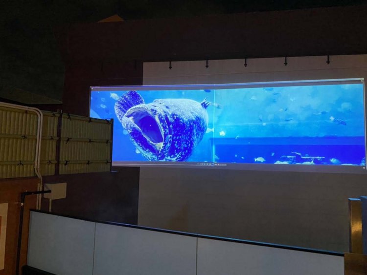 迫力ある映像が楽しめるパノラマスクリーン。写真は「癒やしのアクアリウム」。