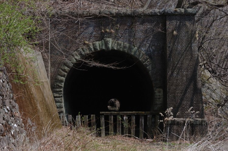 第17トンネルは旧国道沿いにあるのですぐわかる。2007年4月20日撮影。