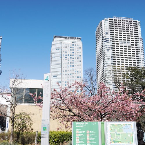 錦糸町駅からはじめる錦糸町・亀戸散歩 〜浮世絵にも描かれた梅の名所。今は音楽と餃子の街〜
