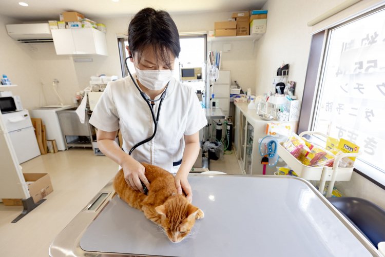 「いらっしゃ〜い」と出迎えてくれます。