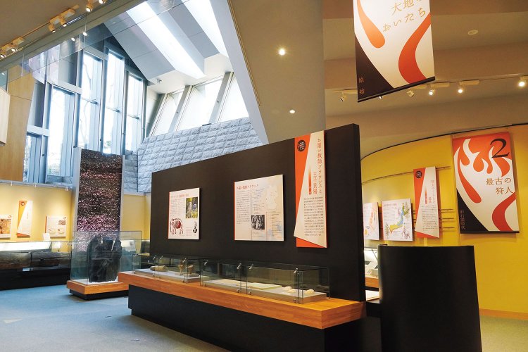 03_飛鳥山博物館01