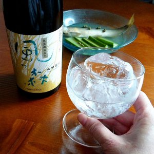 鮎とキュウリの酒煮（冷製）に「風の森」〜おいしい日本酒は飲むだけではもったいない最高の調味料〜