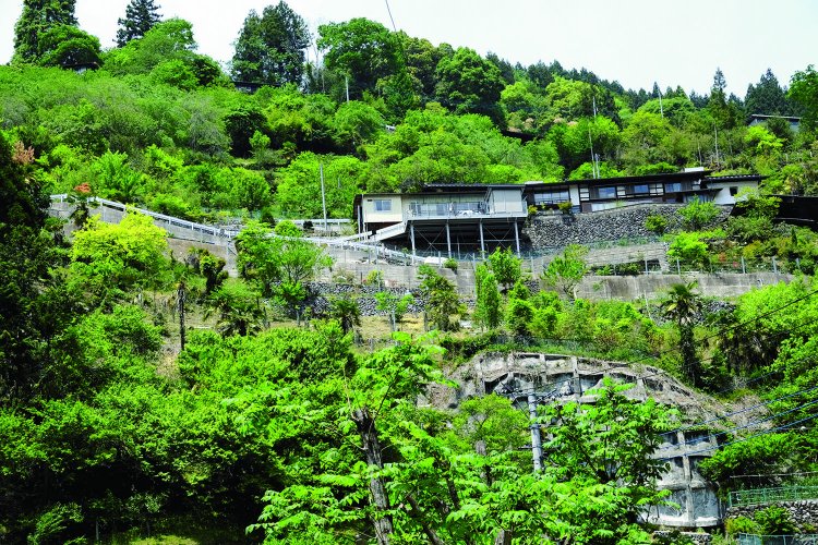 道路から見上げた沢戸の家々。道路から高さ100ｍほどは上がるだろうか。