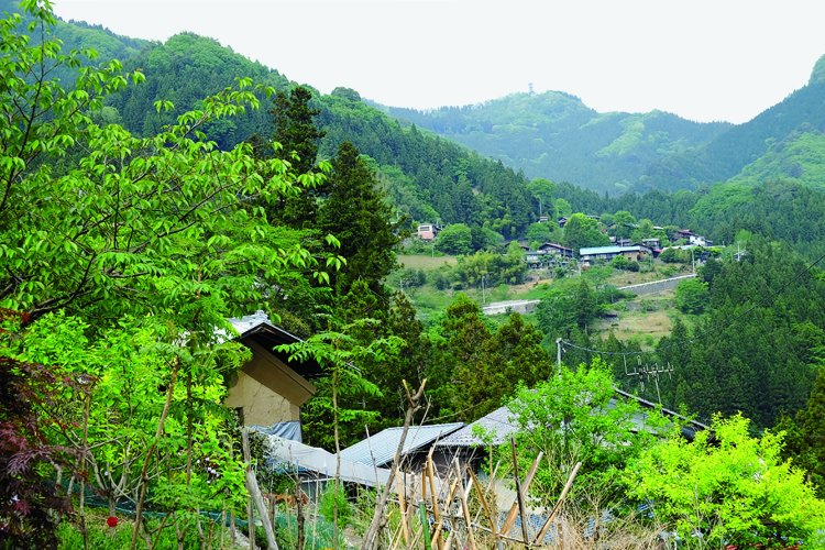 沢戸集落から見た半納。直線距離は１㎞ほど。集落の奥に展望台を兼ねたアンテナが立っている山が城峯山になる。半納登山口から往復2時間半程度。