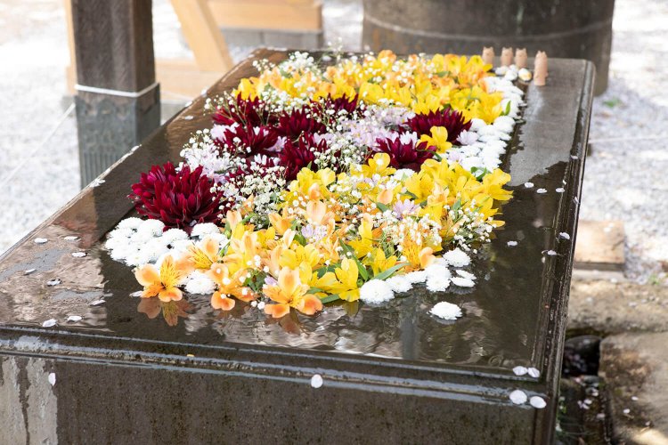 前玉神社の花手水。