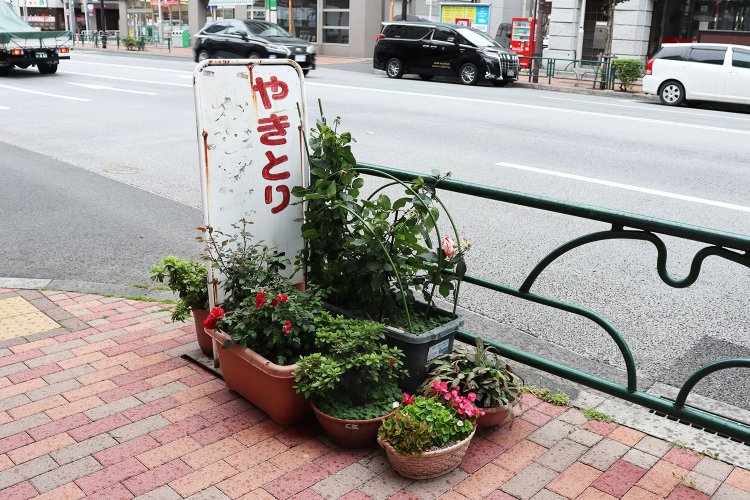 深川は路上園芸の宝庫なのだ！