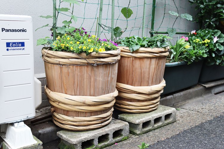 深川は路上園芸の宝庫なのだ！