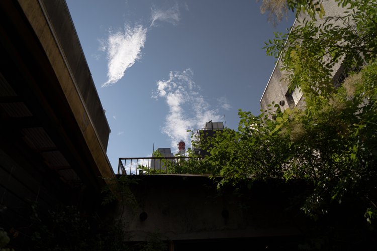 屋上で銀座産のハーブやトマトを育てて、料理や飲み物に使うプロジェクトが進行中とのこと。