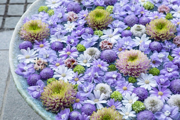 行田八幡神社の境内には６鉢の花手水を設置。