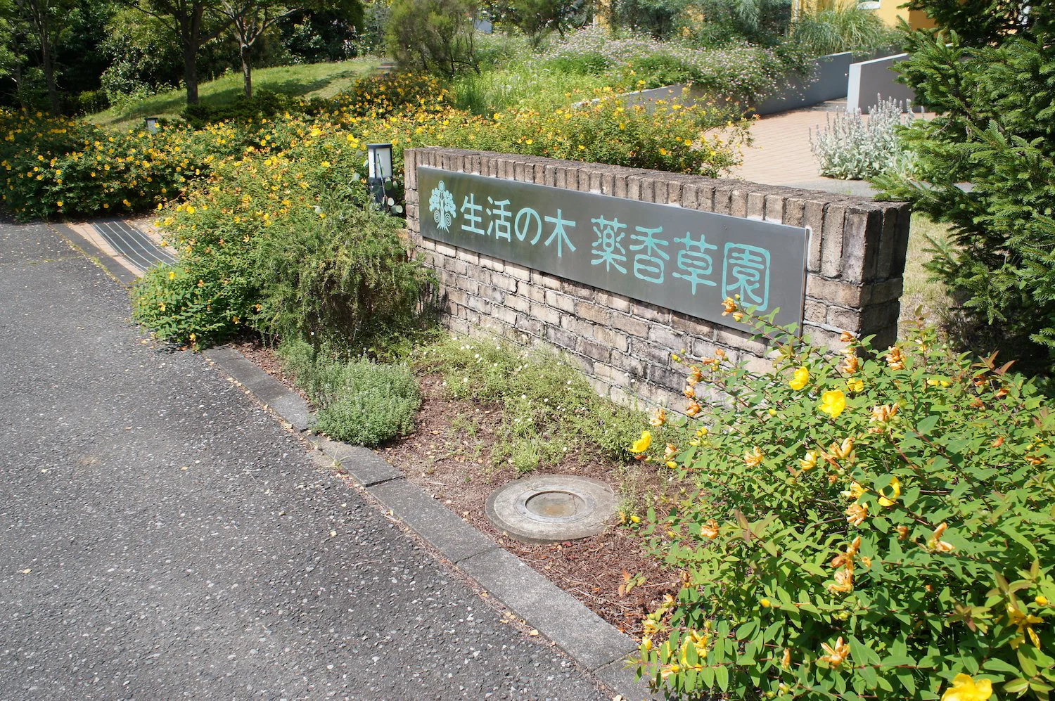 飯能の老舗ハーブ園が営む 生活の木 メディカルハーブガーデン 薬香草園ベーカリー は 飽くなきハーブへのこだわりでイチからの商品作り さんたつ By 散歩の達人