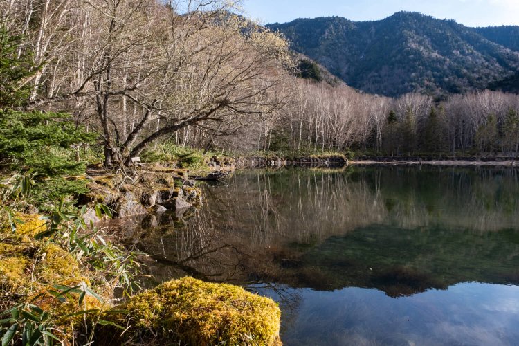 静寂が似合う南北約1.2㎞、東西約500ｍの広さを有する丸沼。