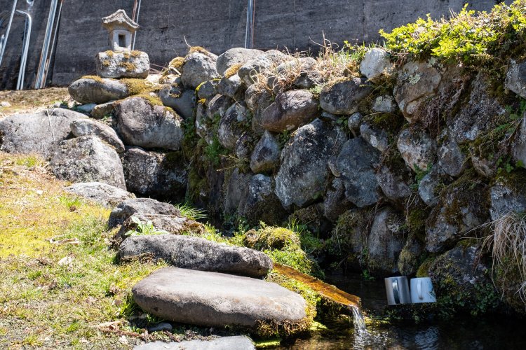 民家の敷地奥にひっそり湧く伊閑町（いかんちょう）の清水。