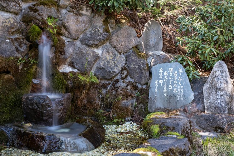 急坂の車道脇にある花咲（はなさく）の出水。