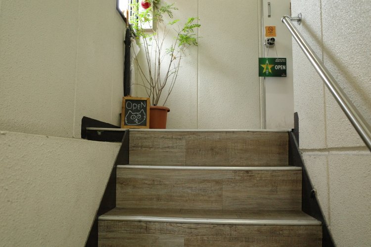 猫が描かれたかわいい黒板を目指して階段を昇っていこう。