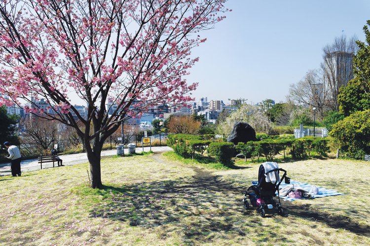 2_西郷山公園