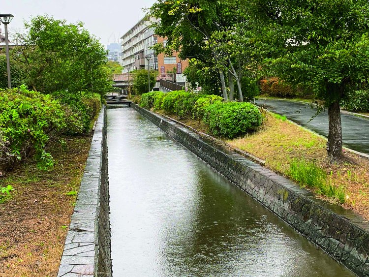 古石場川親水公園