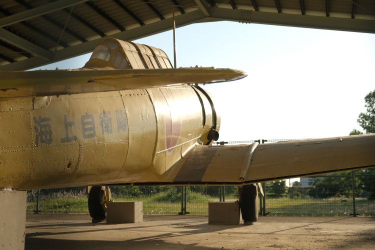 背後から勇姿を。柵越しの撮影なので絞りを開放値にして柵をぼかしてみた。午後の斜光で機体がギラリと輝いていた。