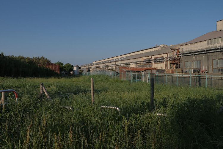 灰色の工場建物あたりが南西―北東方向の滑走路跡地だ。一見すると滑走路跡か分からない。