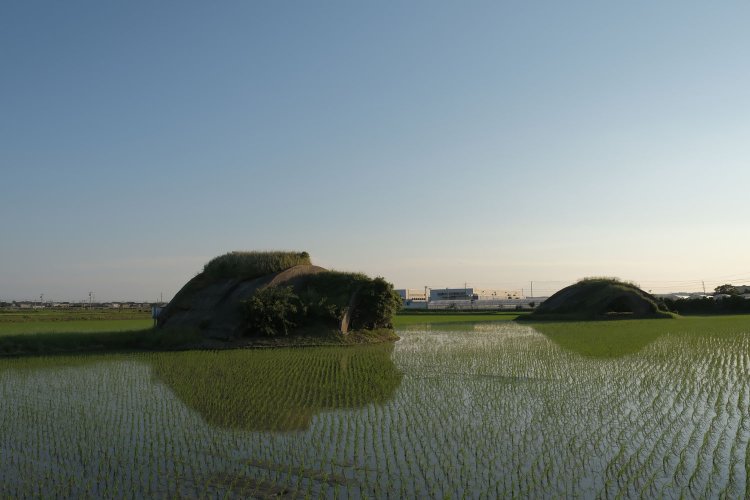 背後から見る。掩体壕の上部には草が生え、脇にも低木が生えている。
