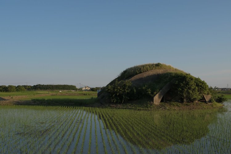 ここまで草木に侵食されていたら飛行機を避難させていたと言っても信じがたい。だが、上空からのカモフラージュにはちょうど良いかもしれない。