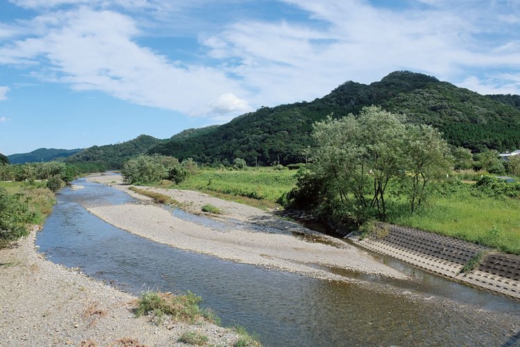 田沼駅からこの秋山川を渡れば城は近い。