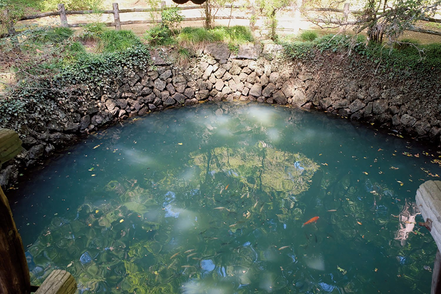 城内にある大炊(おおい)の井という池。築城の際に湧き出たという池で、水深9m、直径8m。水が涸れたことはないそうだ。