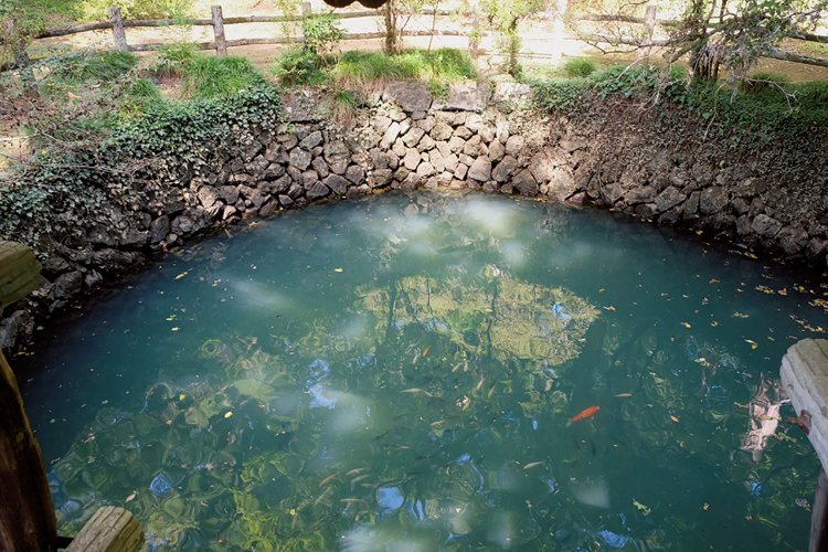 城内にある大炊（おおい）の井という池。築城の際に湧き出たという池で、水深9m、直径8m。水が涸れたことはないそうだ。