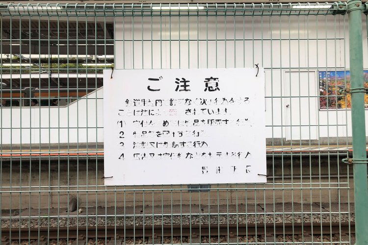 Deciduous tree《落葉樹》