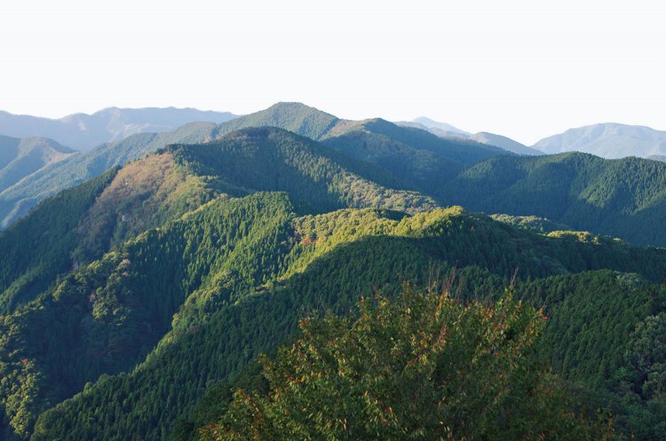 岩茸石山から縦走してきた峰々を振り返る。中央の高い山が棒ノ折山。ここからは雲取山も見える。