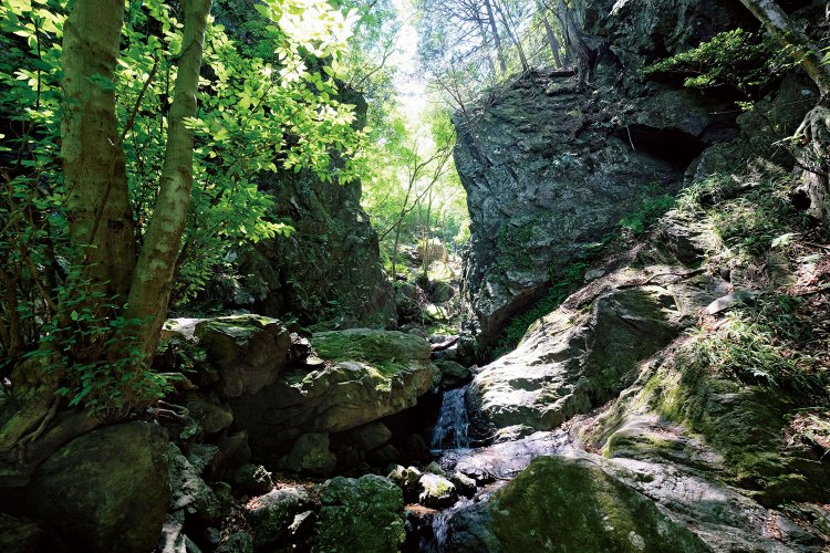 白谷沢の核心部が近い。さらに両側の岩が狭まってくる。