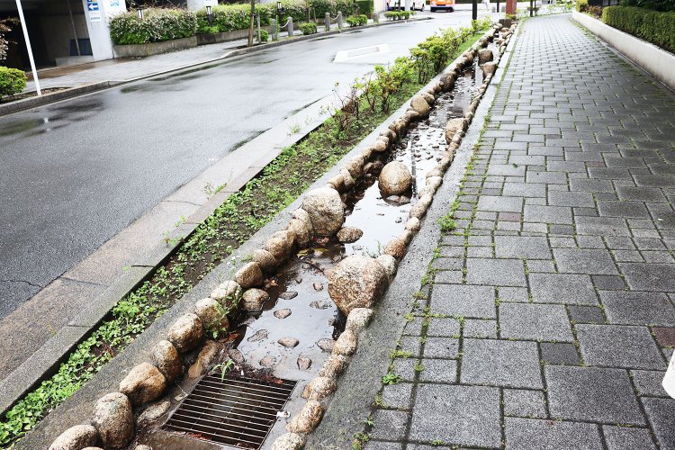 川の雰囲気を模したミニ水路。