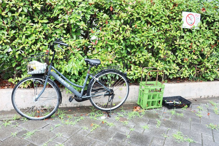 自転車のカゴにゴミ。その周辺にも川のよどみのようにゴミが集まる。