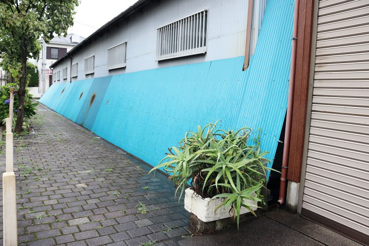 「アロエの背後のブルーのトタンは、川を意識しているのかな」と、吉村さん。