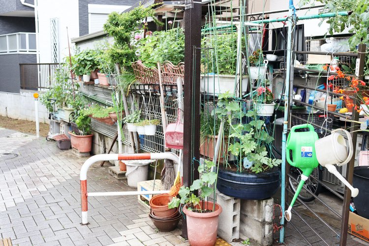 コックピットのような立体ガーデン。