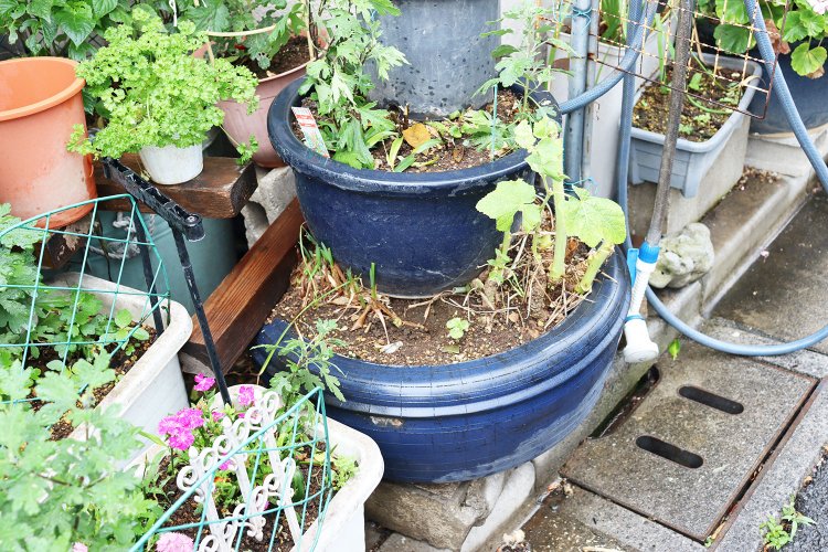 タイヤのようだが、これは……？