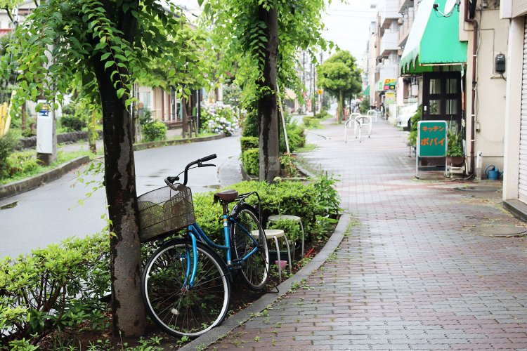 川を感じさせるお花茶屋駅周辺の風景。